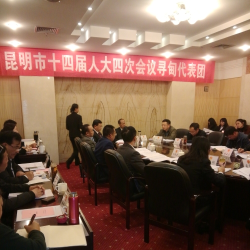 昆明市第十四届人民代表大会第四次会议寻甸代表团会议