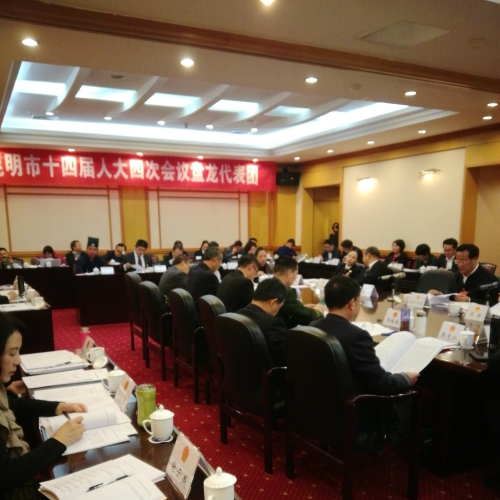 昆明市第十四届人民代表大会第四次会议盘龙代表团会议
