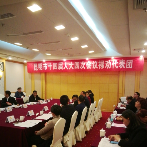 昆明市第十四届人民代表大会第四次会议禄劝代表团会议
