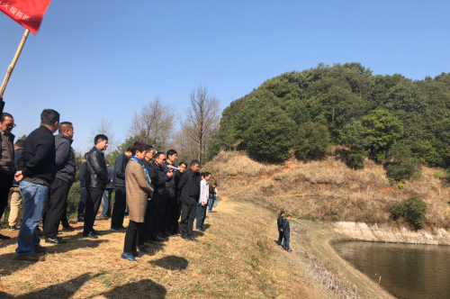 西山1
