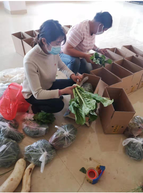杨雄丽