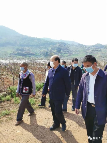 金志伟副主任