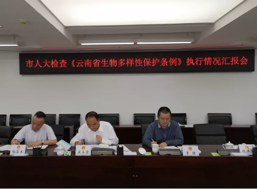 主任2
