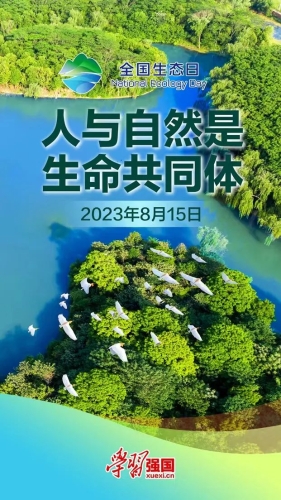 生态4