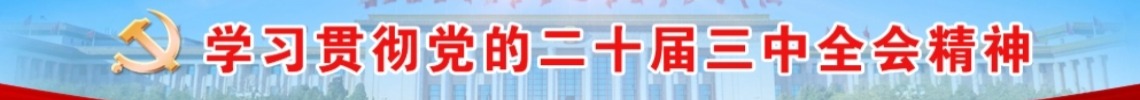 学习贯彻党的二十届三中全会精神